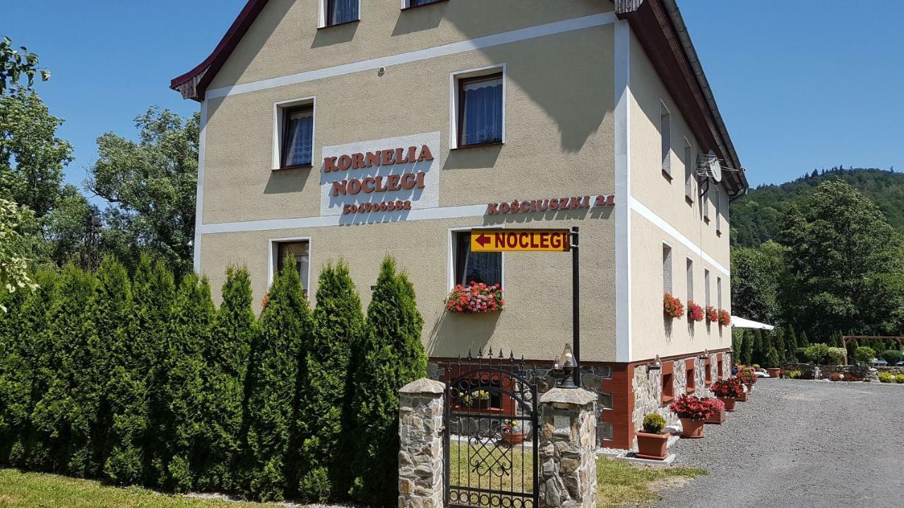 Kornelia Pokoje Goscinne Stronie Slaskie Exterior photo